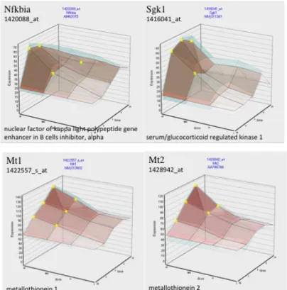 図 3  TTX 単回経口投与時のマウス海馬におけるストレス応答関連遺伝子 Nfkbia、Sgk1、Mt1 及び Mt2 遺伝子の発現変動 