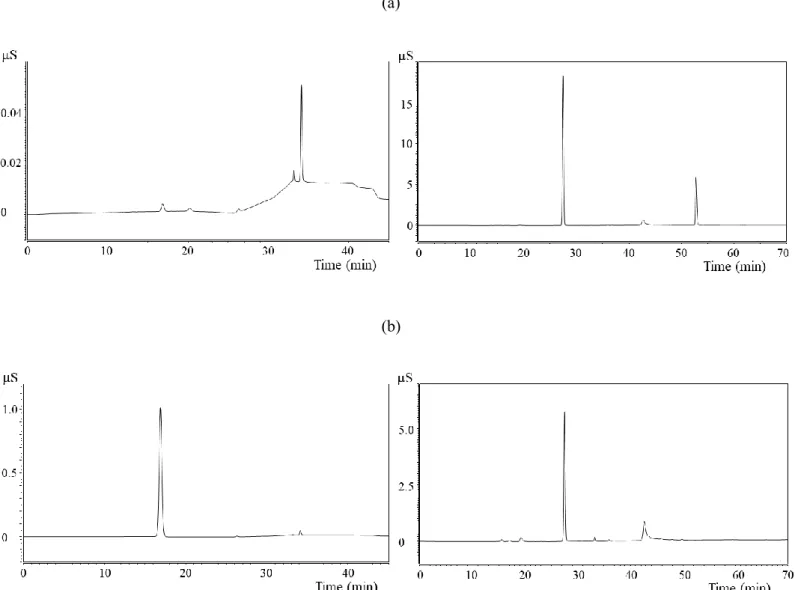 Fig. 6  (a)  製品 B および  (b)  製品 E のクロマトグラム  左:  陽イオン分析,  右:  陰イオン分析 
