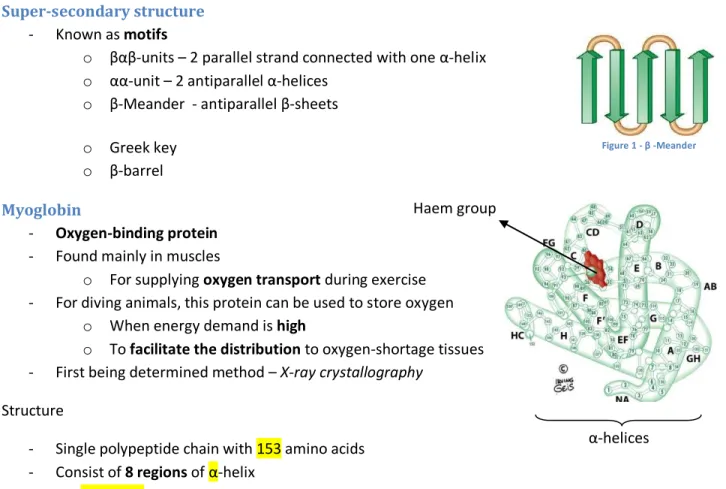 Figure 1 - β -Meander 