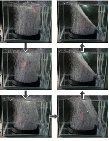 図 9 発生した気泡群形状の検出 Fig. 9 Detection of bubbles shape.