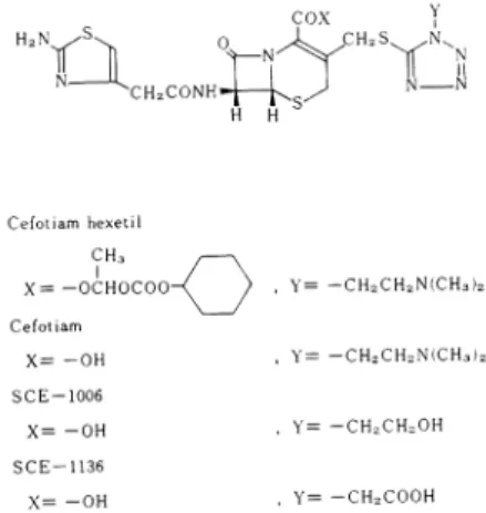 Fig.  1  Chemical  structures  of  cefotiam  hexetil  and  related  compounds