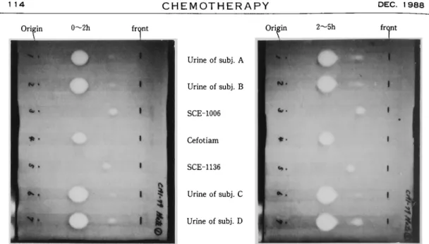 Fig.  5  Bioautograms  of  human  urine  after  oral  administration  of  cefotiam  hexetil  (200  mg)