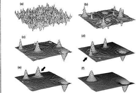 図 12: 渦度が時間発展していく様子の鳥瞰図。正負二つに分離した渦度が見て取れ る。(Physica D, 51 (1991) 531-538 より引用) で時間発展を追跡すると，図 11 や図 12 に見られるように，正の渦と負の渦が 1 個 ずつできあがる様子が見て取れる。この 2 極構造の分布は，先ほど触れた負温度点 渦系の平衡解を与える sinh-Poisson 方程式 [7] によりうまく表現できることが報告 された。 以上，Leonard の指摘と Matthaeus らの報告から，我々は，点