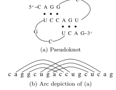 Fig. 1 Example of RNA secondary structure.