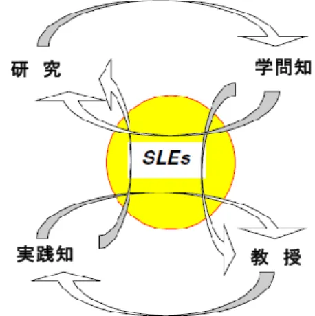 図 1-1:  本質的学習環境（SLEs）を巡 る理論と実践（Wittmann, 2001） 