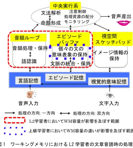 図 1   ワーキングメモリにおける L2 学習者の文章音読時の処理過程      これまでの音読研究は，文章理解という観点から，音読を黙読と比べることが多かった。 本研究の結果でも，音読より黙読の方が意味内容の再生得点が高かったことから，理解を目 的とした文章の読みにおいては，音読の有用性は読解力の発達とともに低くなると考えられ る。しかし，日本語学習者における文の発話や聴解の能力育成に，音読活動が促進的な役割 を果たすことは，教育実践からも示唆されている。黙読の活動では得られない音読の効用と して，文章