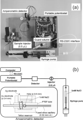Figure 2 shows the amperometric responses of chlorine in a miniaturized-FIA system.  The electrode potential applied between two electrodes was +200 mV