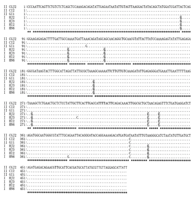 Figure 2. DNA sequence diversities among Cryptosporidium parvum isolates in SB289 (chaperonin containing TCP-1 delta subunit) gene