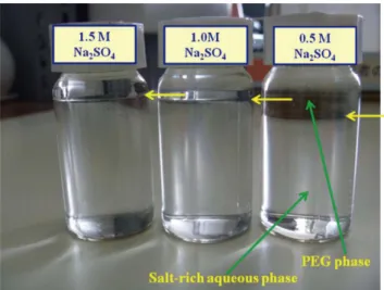 Fig. 2 Effect of sodium sulfate solution on the PEG-phase volume.  