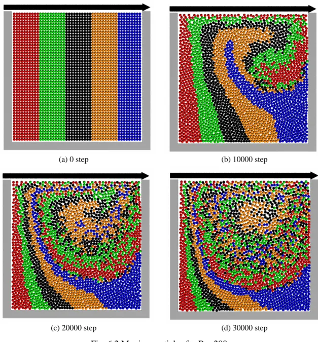 Fig. 6.2 Moving particles for Re=200 