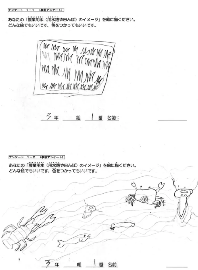 図 3　体験後に生物を描いた児童の例。上図が体験前、下図が体験後に描かれた絵画である。