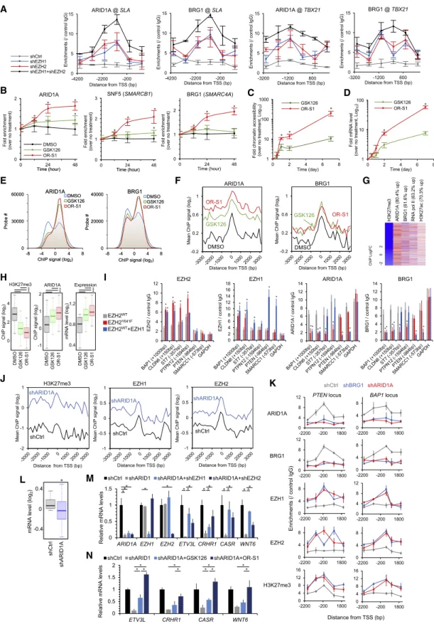 Figure 6. Importance of EZH1 and EZH2 in BAF-Mutated Cancers