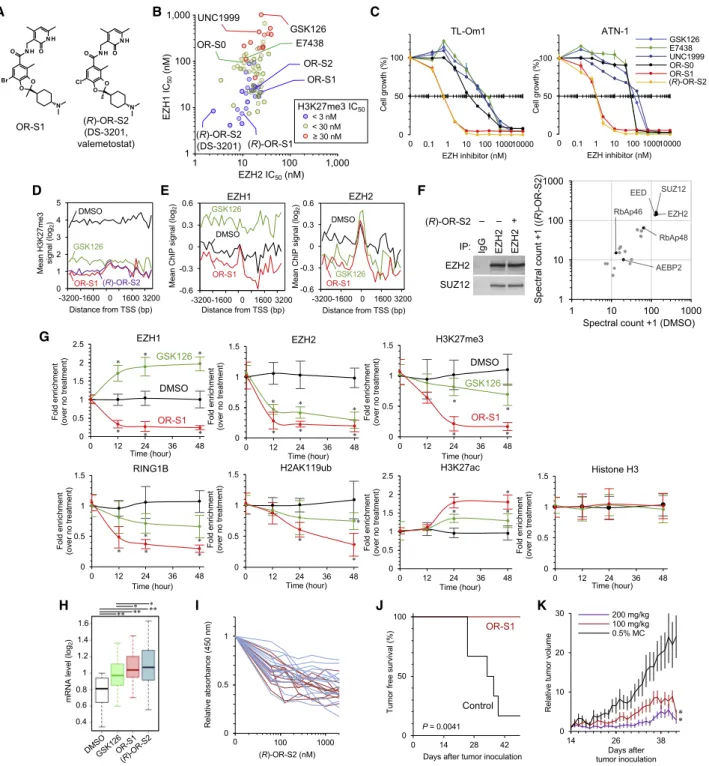 Figure 3. Chemical Dual Targeting of EZH1 and EZH2 in ATL (A) Structures of EZH1/2 dual inhibitors.