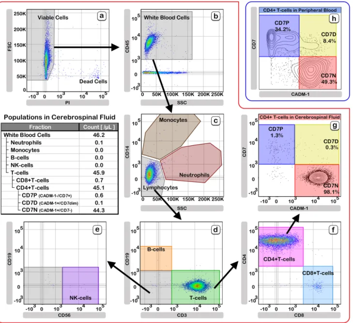 Fig. 2    Quantitative flow-cytometric analysis of cell populations in  the cerebrospinal fluid (CSF) and peripheral blood (PB)