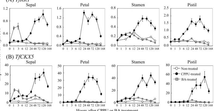 Fig. 6.  Quantitative real-time PCR analyses of TfRR1 and TfCKX5 in CPPU or BA-treated floral organs．