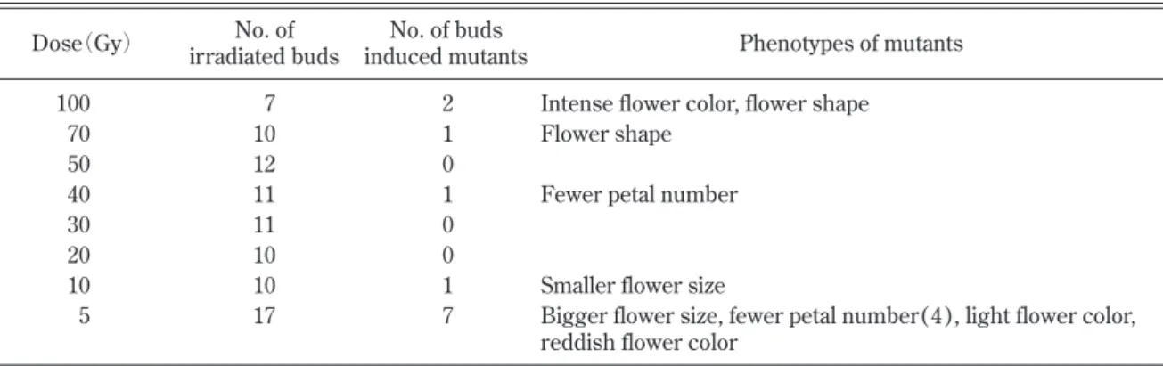 Table 4. Effects of 220 MeV carbon ion irradiation to axillary buds of  ‘Orange Rosamini’  on the induction of mutation.