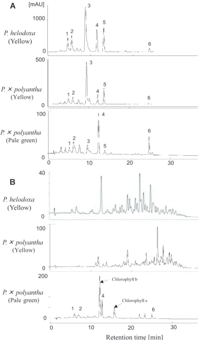Fig. 2 .  HPLC chromatograms (absorbance at 450 nm) of saponified (A) and unsaponified (B)  carotenoid extracts from  Primula helodoxa  and  P.×polyantha 