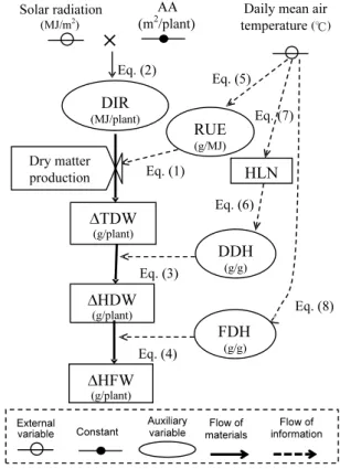 Fig. 4 Predicted and observed ratios of fresh-weight  increase to dry-weight increase of head (FDHs)  versus daily mean air temperature