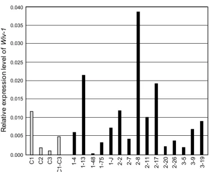 Fig. 3  Relative expression levels of Wiv-1 (based on mRNA levels) in young fruits  of lines transformed with the TOMSSF 5' ::Wiv-1 construct
