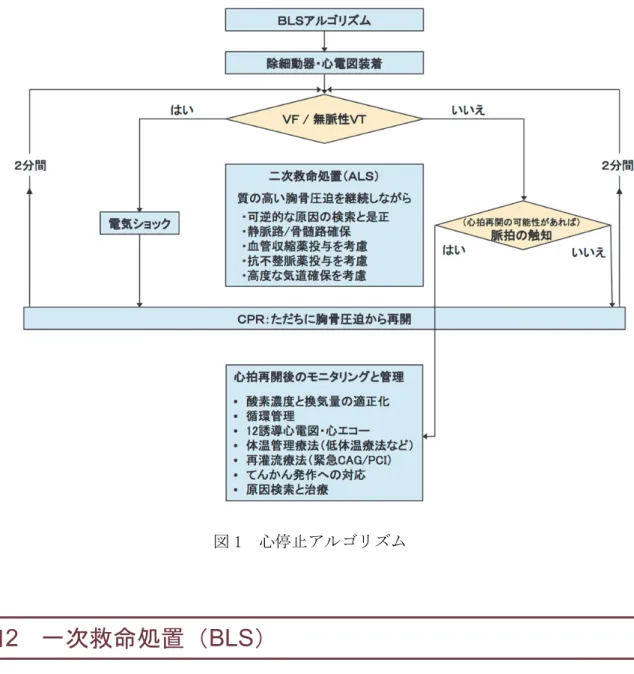 図 1  心停止アルゴリズム  ■2  一次救命処置（BLS）  病院・救急車内など医療環境の整った中で日常業務として医療従事者や救急隊員などが蘇生を行う 場合は、ALSの端緒としてBLSが開始される。このような状況では、市民を対象として作成された市民用 BLSアルゴリズムではなく、救助者の熟練度、資格、準備された資器材などが異なっていることを考慮 して最適化された医療用BLSアルゴリズム（図 2）を使用する。医療従事者、救急隊員などにおける医 療用BLSアルゴリズムと市民におけるBLSアルゴリズムの主たる