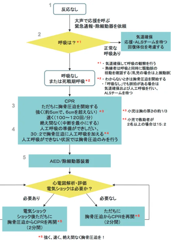 図 2  医療用 BLS アルゴリズム 