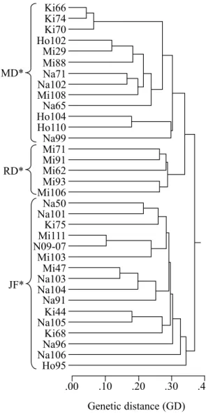 Fig. 1.  The unweighted pair group method with arithmetic  mean (UPGMA) dendrogram of genetic relationships  among 34 inbred lines calculated on the basis of  genetic distances of the 4627 trustable polymorphic  loci obtained.
