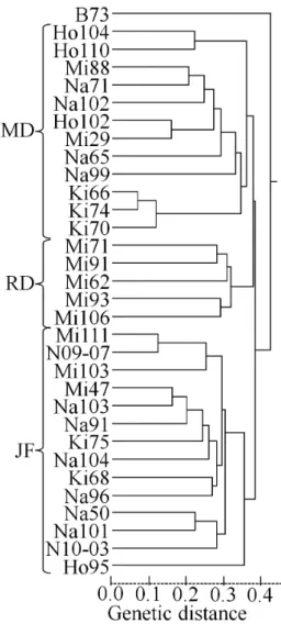 Table 2.　The SNP loci adopted for the analyses in this study