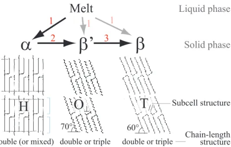 Fig. 9. Polymorphic transformation and structures of polymorphs  27)