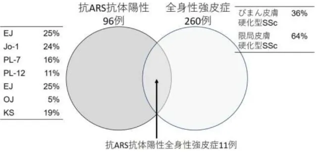 図 1  抗 ARS 抗体陽性例と全身性強皮症症例における、両方を満たす症例の頻度 