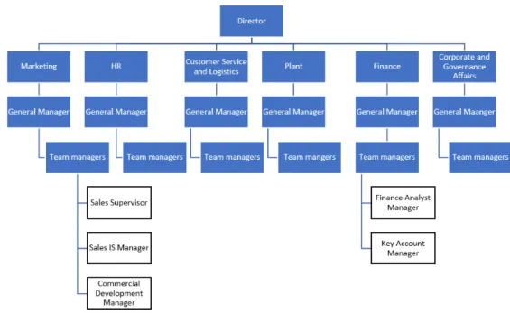 Figure 9. Company A’s divisions and the managers interviewed in this research. 