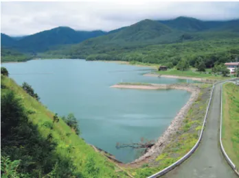 Fig. 7 Photograph of Sasagamine dam looking west. See Fig. 5 for its location.