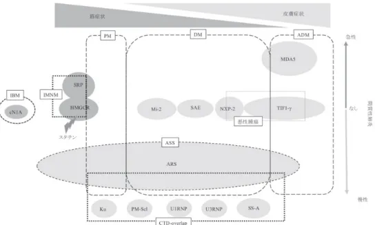 図 23  ・若年例の特徴 乳幼児では MMT による筋力の客観的評価はしばしば困難である。乳児においては首の すわり・寝返り・つかまり立ち・独り歩きなど発達段階に即した評価が必要となる。また、 階段が上れない、つまずきやすい、などの日常生活における運動能力の低下から気づかれる ことが多い。年長児においては成人同様の評価が可能となるが、元来運動の活発な時期であ り、既にできたはずの運動ができない（走るのが遅くなった、できたはずの逆上がりができ なくなった）などの症状で気づかれることがある。   