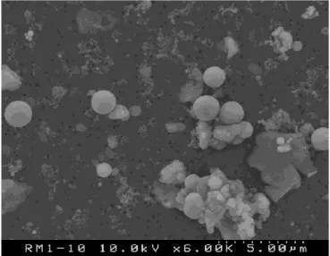 図 3.7  新 雪 中 の 不 溶 解 性 成 分 の SEM 画 像 （ 1） 