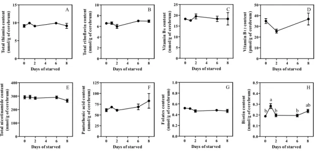 Fig. 1-1-4    Effect of starvation on B-group vitamin content in cerebrum. 