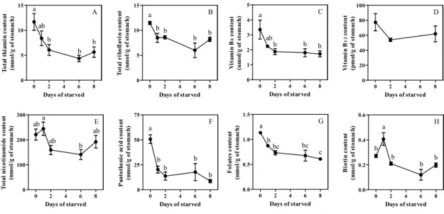 Fig. 1-1-7    Effect of starvation on B-group vitamin content in stomach. 