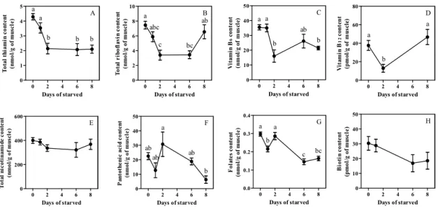 Fig. 1-1-12    Effect of starvation on B-group vitamin content in skeletal muscle. 