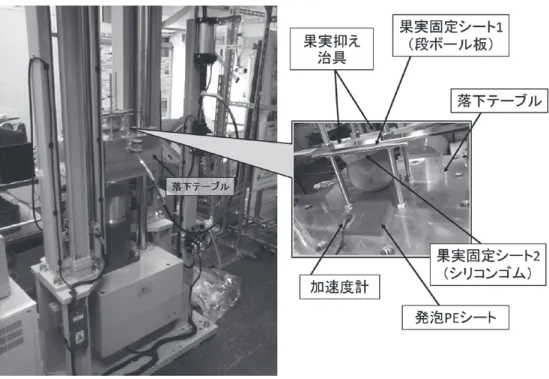 図 １ ．衝撃試験機による果実への衝撃印加