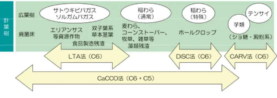 図 10　本プロジェクトで開発したプロセスの活用範囲のイメージ稲わら テンサイ（特殊）稲わら（通常）サトウキビバガスソルガムバガス針広葉樹芋類（）（特殊）ソルガムガス麦わら、コーンストーバー、牧草、雑草等双子葉系エリアンサス草本茎葉等資源作物廃菌床 （ショ糖・澱粉系）針葉樹食品製造残渣藻類残渣ホールクロップ