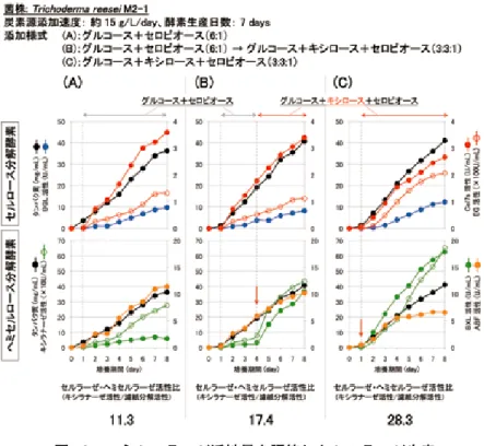 図 10　ヘミセルラーゼ活性量を調節したセルラーゼ生産 Cel7s：セロビオヒドロラーゼ I ＋エンドグルカナーゼ I，EG：エンドグルカナー ゼ，BGL：β- グルコシダーゼ，BXL：β- キシロシダーゼ，ABF：α-L- アラビ ノフラノシダーゼ 供給糖液にキシロースが加わると（↓）キシラナーゼ及び BXL 活性の生産速度 が増大。キシロース供給期間を調節することで，最終産物中のキシラン分解酵素 活性量の調節が可能。 図 11　 各生産酵素のアルカリ前処理原 料に対する糖化試験 オンサイト酵素（図９の 