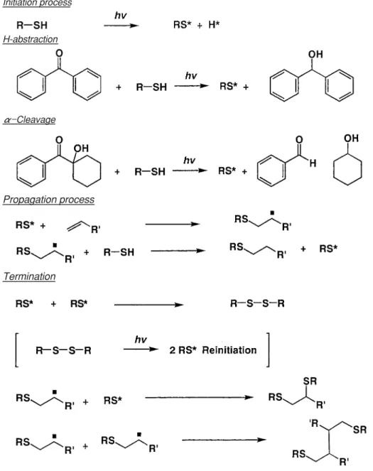 Fig. 11  Typical thiol-ene photopolymerization.