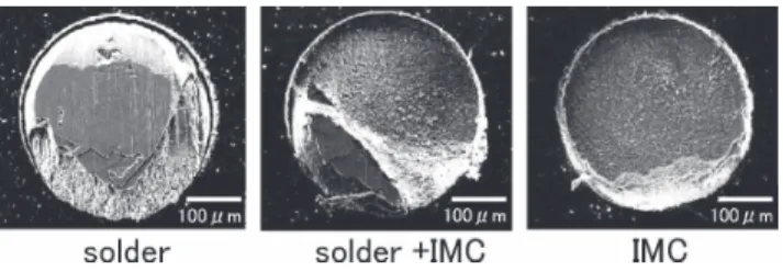 Fig.  2  SEM images of the electroless Ni and Pd plating surface after stripping immersion Au films