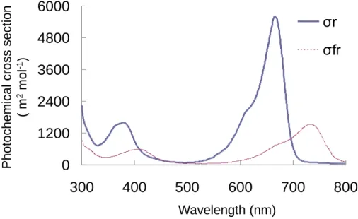 Fig. 2.6 Phytochrome cross-sectional area of Pr and Pfr forms of phytochrome for wavelengths ranging from  300 to 800 nm (Sager et al., 1988)
