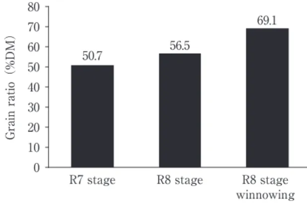 Fig. ３ Grain rate of silage material.