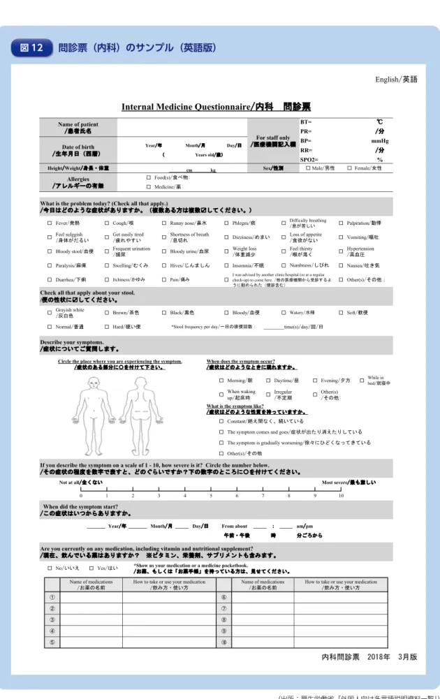 図 12 問診票（内科）のサンプル（英語版）