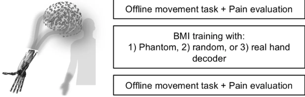 Fig. 1  BMI training and experimental design. (Left) Patients were instructed to control the robotic hand by  moving their phantom hands