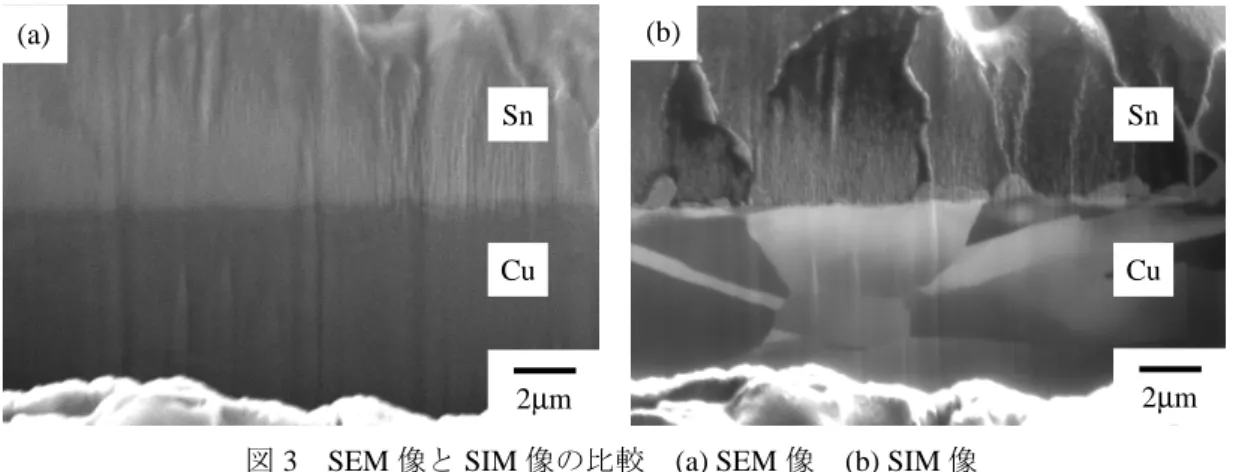 図 3  SEM 像と SIM 像の比較  (a) SEM 像  (b) SIM 像 Sn 