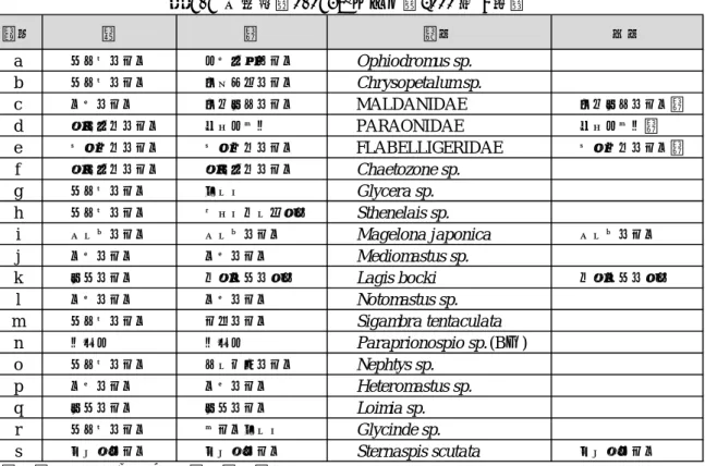 表 6.6 出現種（0.063m 2 あたり，2000 年 9 月）  記号 目 科 種名 和名 a サシバゴカイ オトヒメゴカイ Ophiodromus sp. b サシバゴカイ タンザクゴカイ Chrysopetalum sp