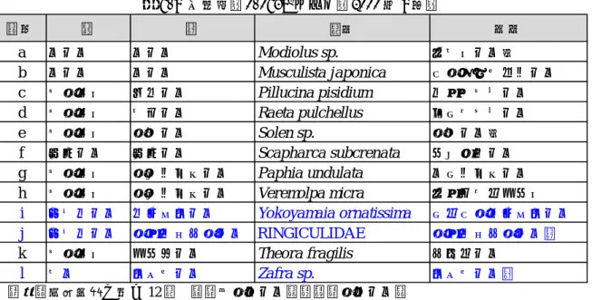 表 6.9 出現種（0.063m 2 あたり，2000 年 9 月）  記号 目 科 種名 和名 a イガイ イガイ Modiolus sp. ヒバリガイ属 b イガイ イガイ Musculista japonica ヤマホトトギスガイ c ハマグリ ツキガイ Pillucina pisidium ウメノハナガイ d ハマグリ バカガイ Raeta pulchellus チヨノハナガイ e ハマグリ マテガイ Solen sp