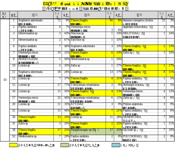 表 6.11  海域区分別・調査地点別の優占種(2)  （0.063m 2 あたり個体数，地点は図 6.1 に示すとおり）  海域 区分 地点 第1位 個体数 比率 第2位 個体数 比率 第3位 個体数 比率 1 Scapharca subcrenata 72  9% T heora fragilis 60  8% Balanus variegatus cirratus  23  3%