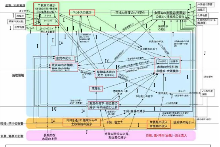 図 1.3 の相関図には，定量的に明らかなもの，定性的に明らかもの，可能性は指摘され ているものの根拠となるデータ等が明確でないものが混在している． すなわち，図 1.3 及び表 1.3 に示すように，要因間の関連性について， B ＋（有明海で の既往知見や他海域の事例から問題点の長期的な変動要因になる可能性が高いもの）で示 されるものは極めて少なく，大部分が B（長期的データの不足または有明海・八代海総合 調査評価委員会での指摘により，現時点では直接的な相関関係の有無が判断できないも の）及び C （問題